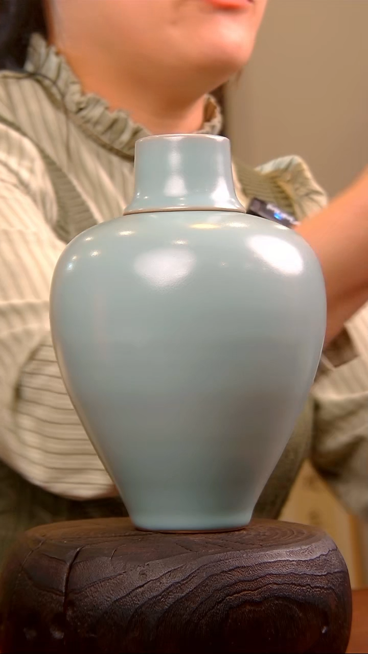 瓷片548宋氏梅瓶-宋..........