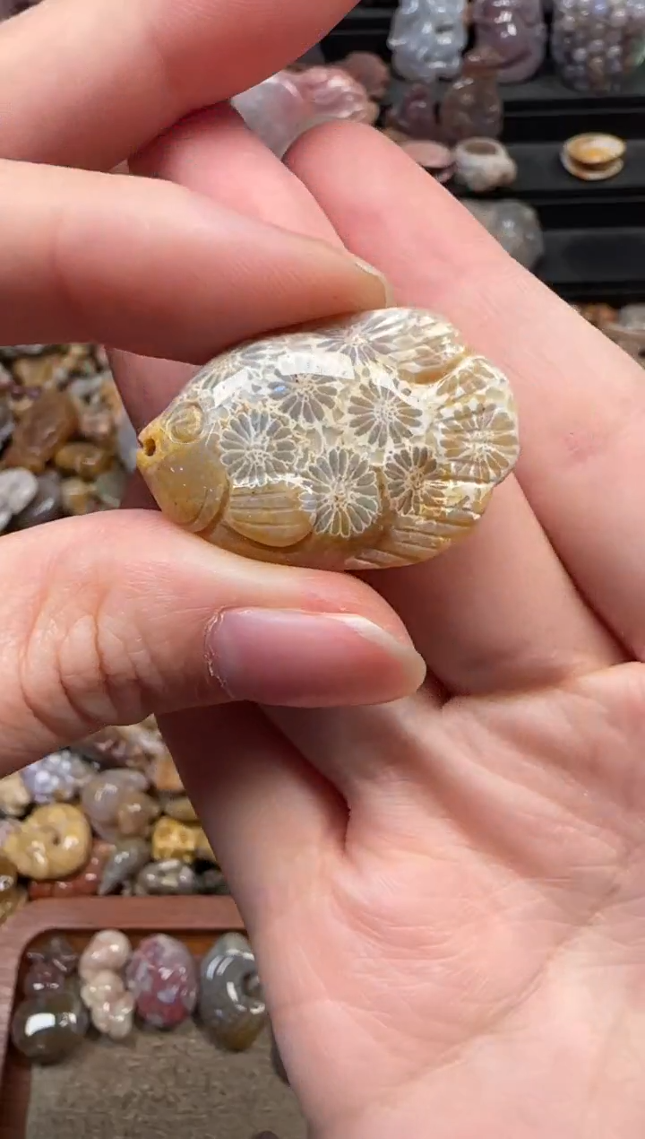 颈饰未镶嵌硅化珊瑚（珊瑚玉）160