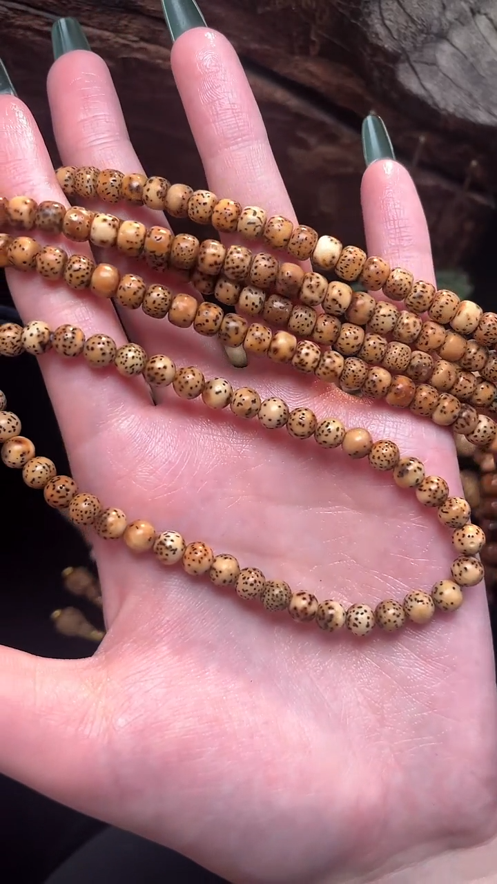 手串星月菩提精工级陈籽圆珠手持（B）