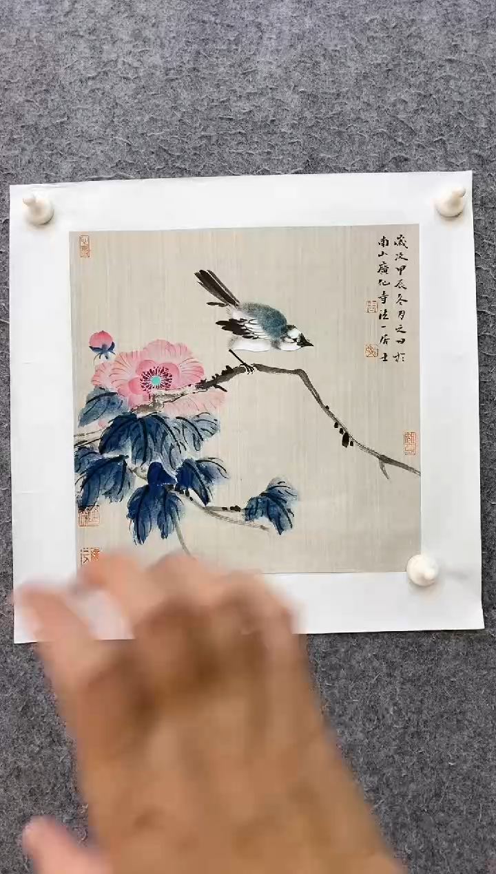 国画ST-ZYM花鸟画作品
