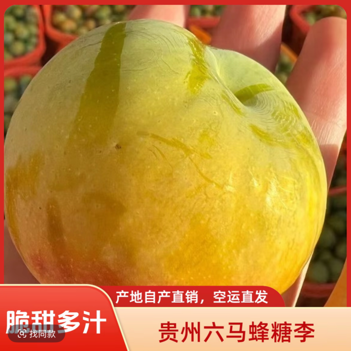 贵州六马蜂糖李(35mm-49mm)大果产地新鲜空运高品质水果应季爆款李子同城送贵州省