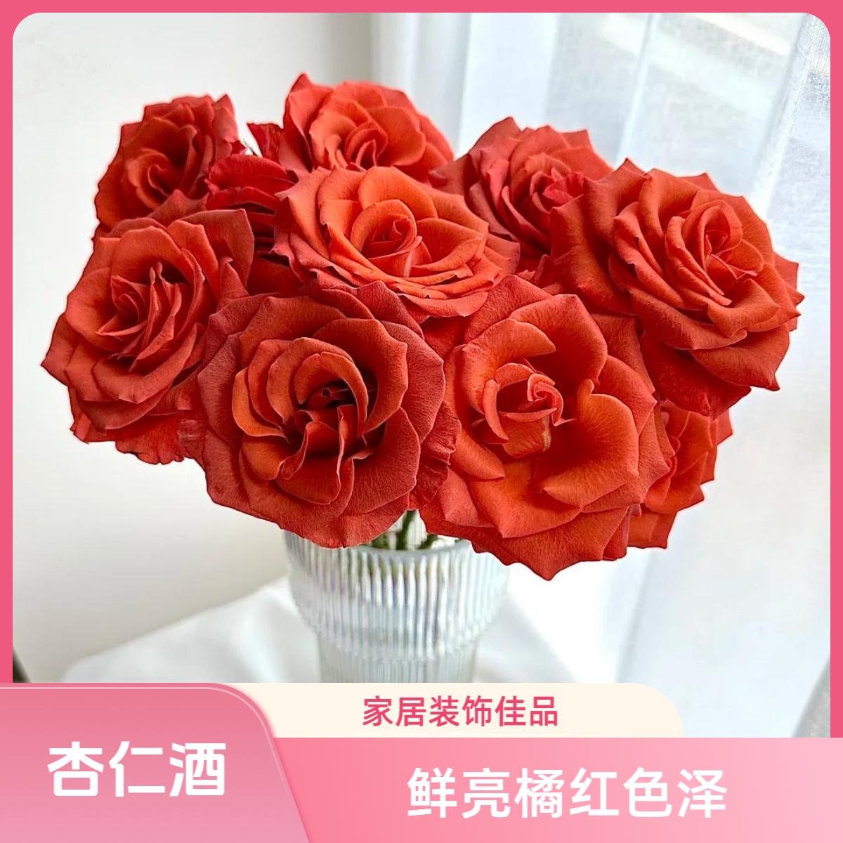 【杨苏莹花房】杏仁酒单头玫瑰 云南鲜花直发一单顺丰冷链两单空运