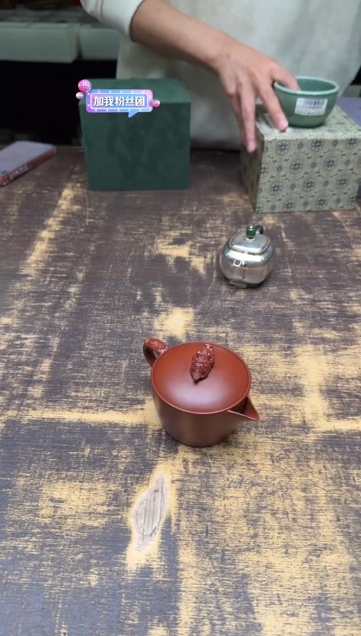 @*阳（预售）蒋振英大红袍鳄鱼壶