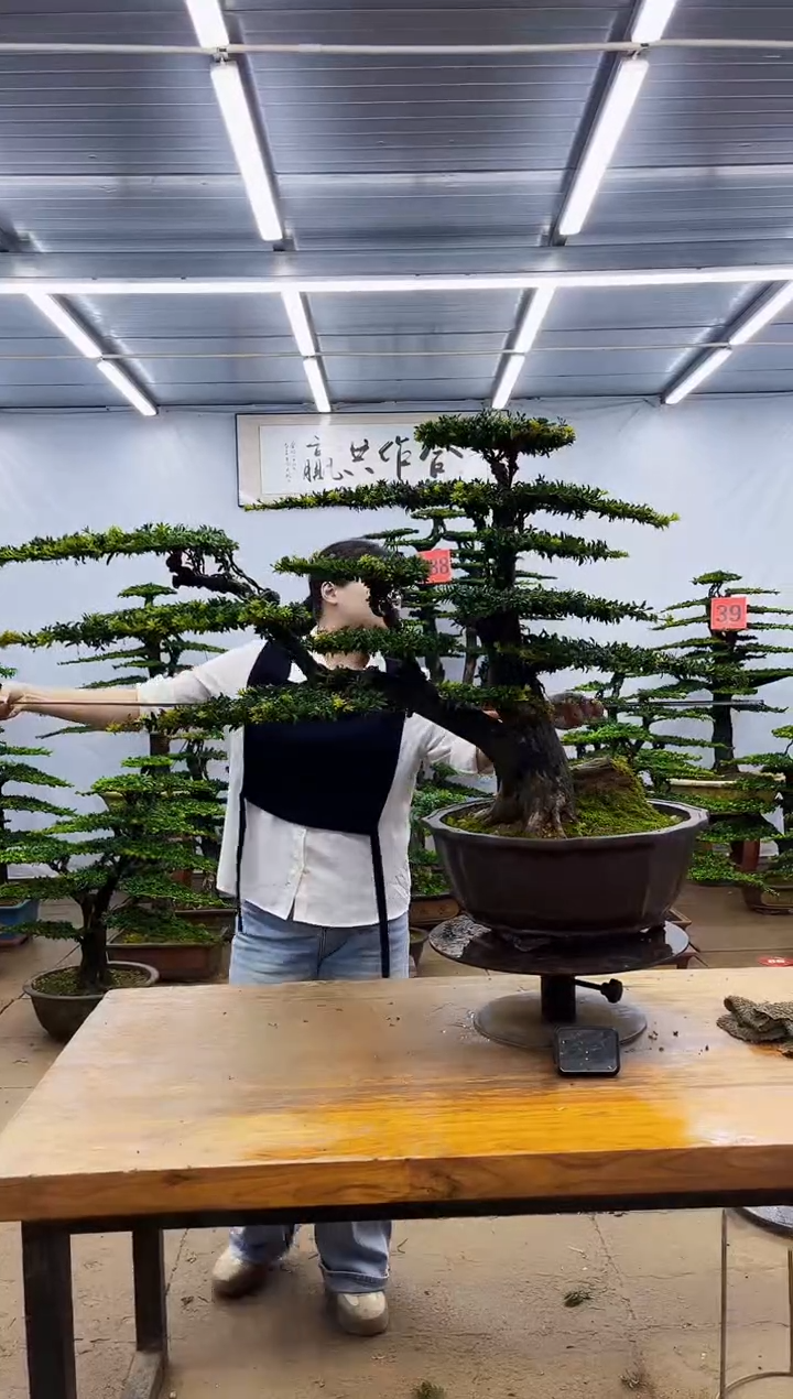 无花朵一物一拍，所见即所得