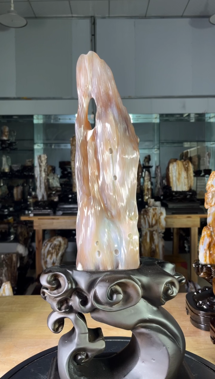 【闪购商品】硅化玉珠宝奇石未镶嵌1