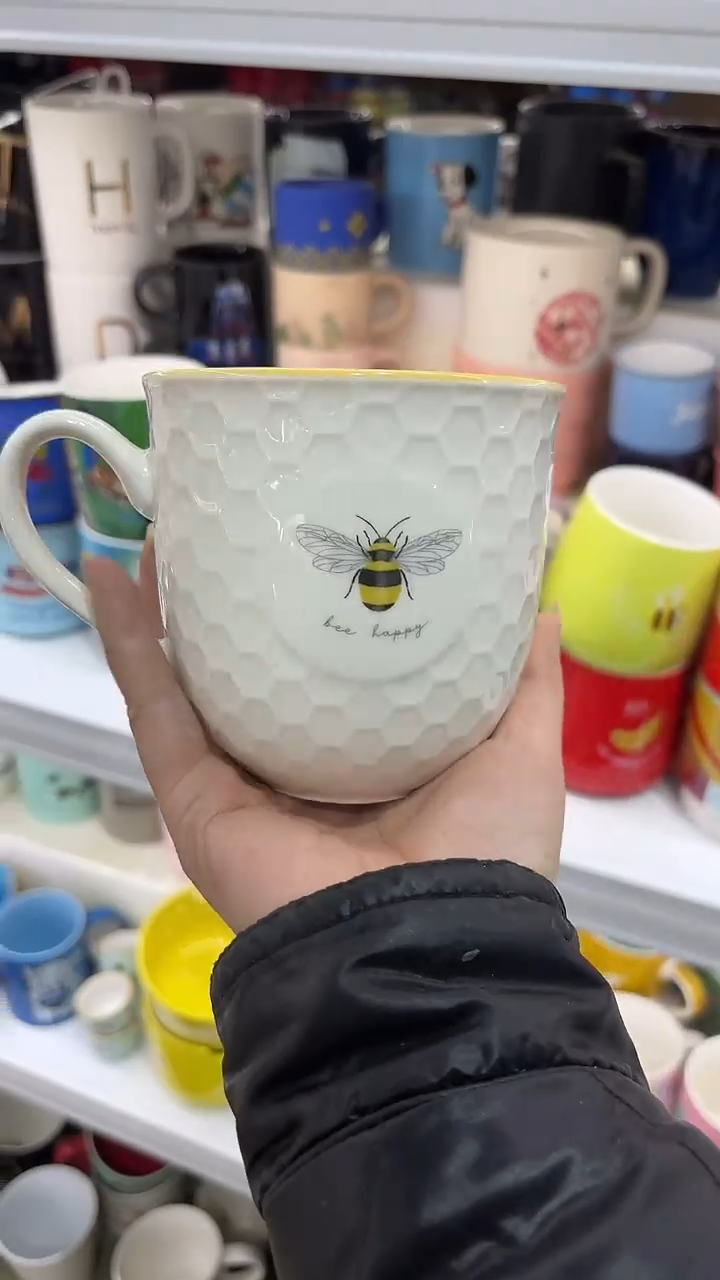 【闪购商品】家湖高温陶瓷杯 微瑕 两个