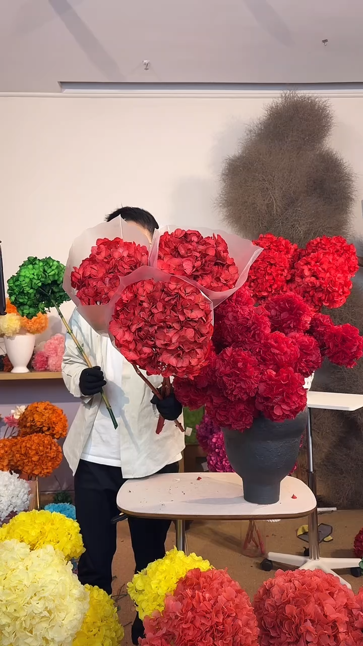 S级 吸色永生大叶绣球3枝 红