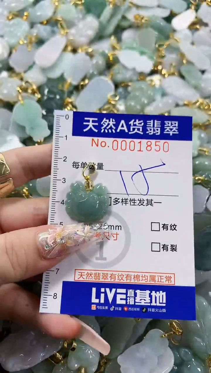 颈饰未镶嵌翡翠天然A货翡翠