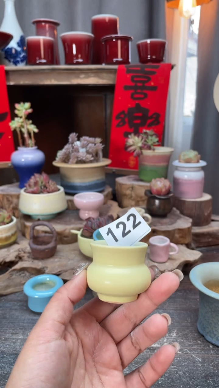 【闪购商品】摆件122知木小芳花盆
