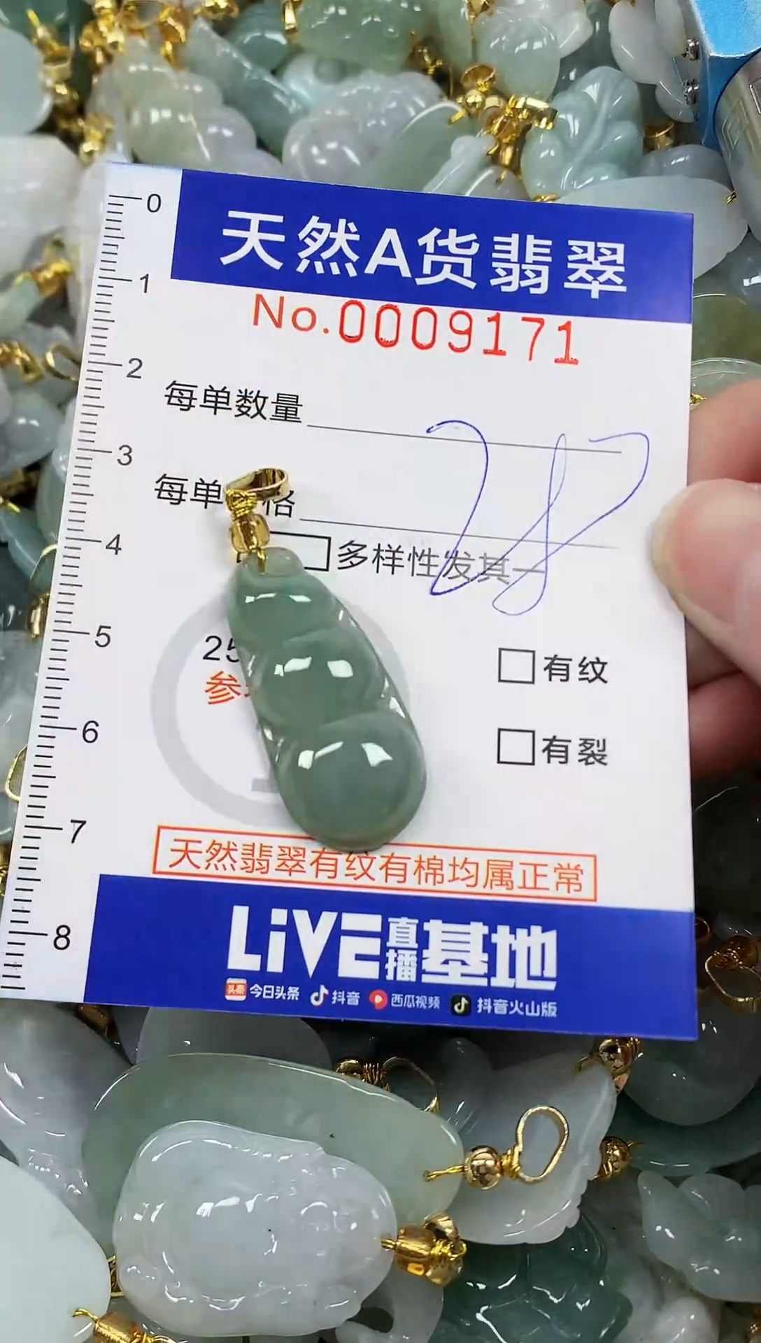 颈饰未镶嵌翡翠纯天然a货翡翠