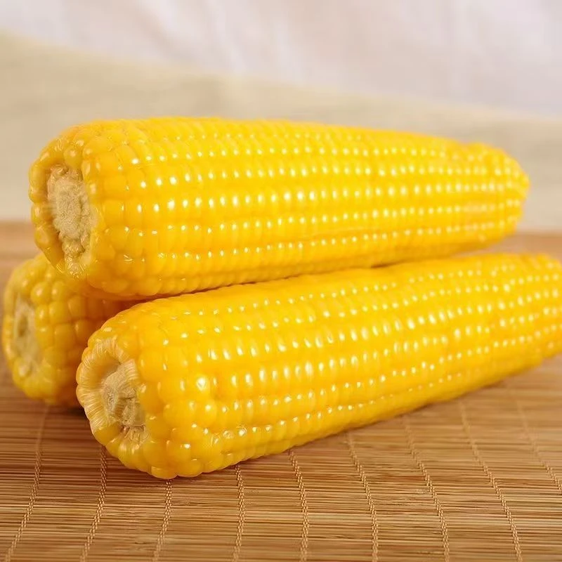 【试吃6根】东北黑土地黄糯玉米原产地发货