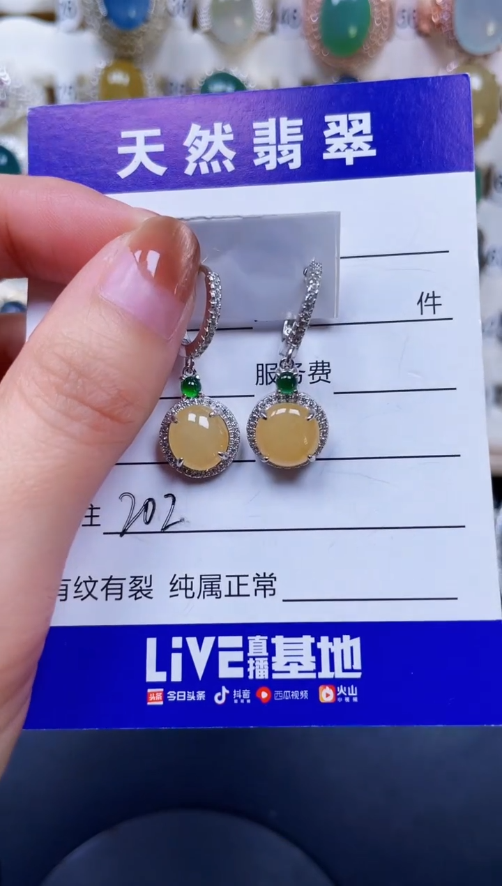 银S925镶嵌翡翠耳饰202