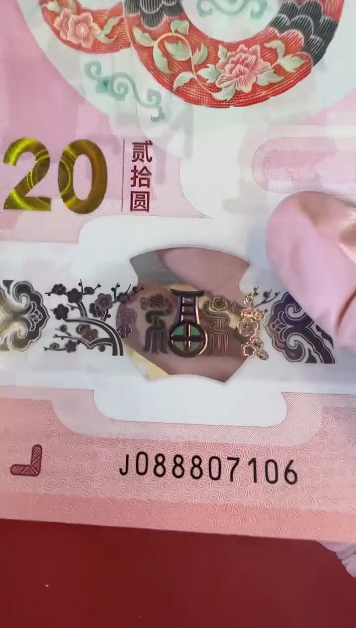 【闪购商品】塑料2025蛇钞 啊啊啊啊啊啊啊啊单张裸