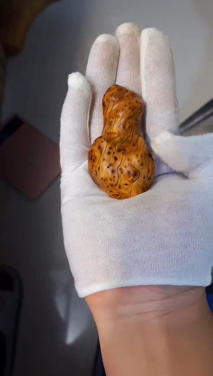 【闪购商品】柏木19崖柏崖柏崖柏崖柏崖柏