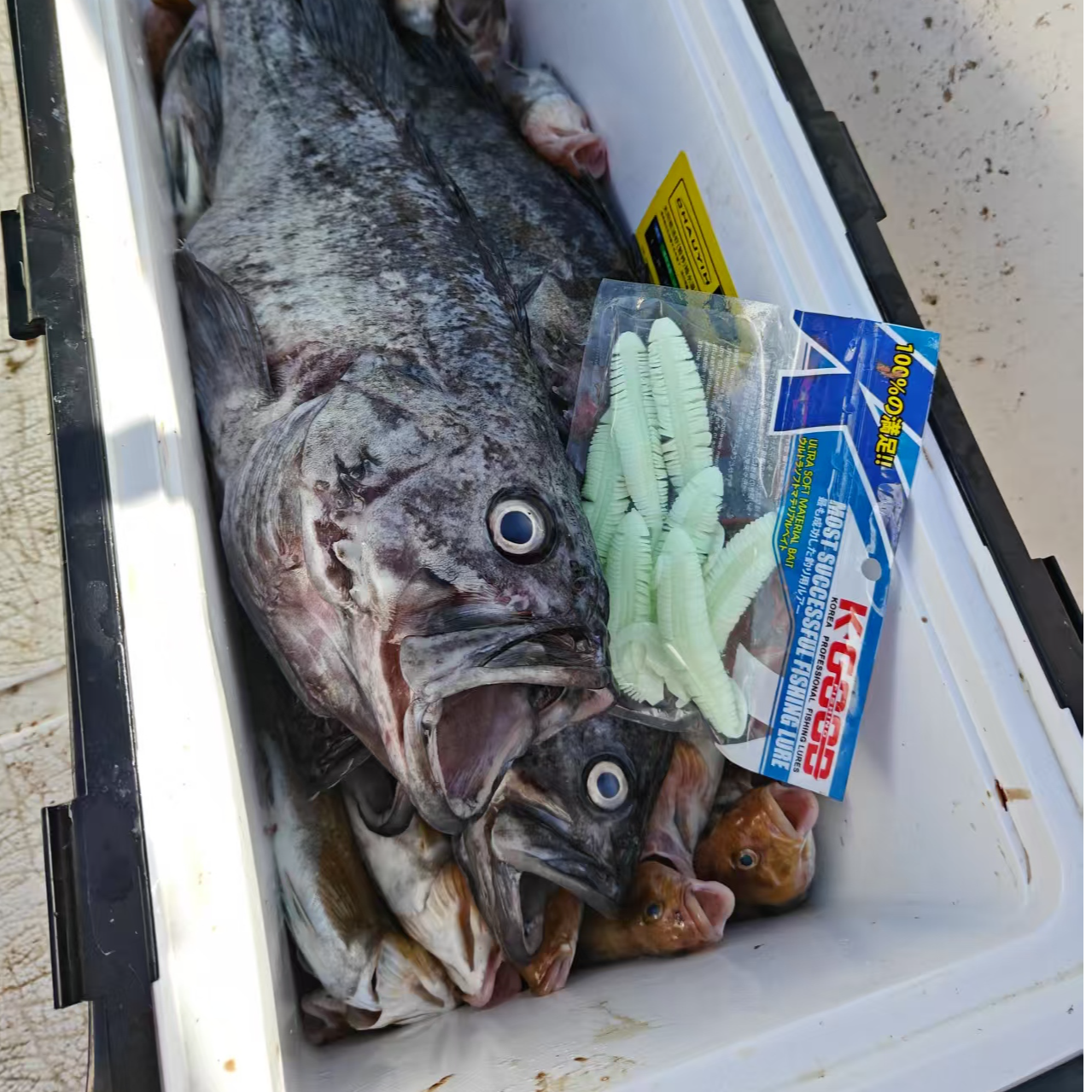 海钓海毛虫软饵专攻大黑头大鱼海钓诱鱼效果强劲路亚饵黑头假饵