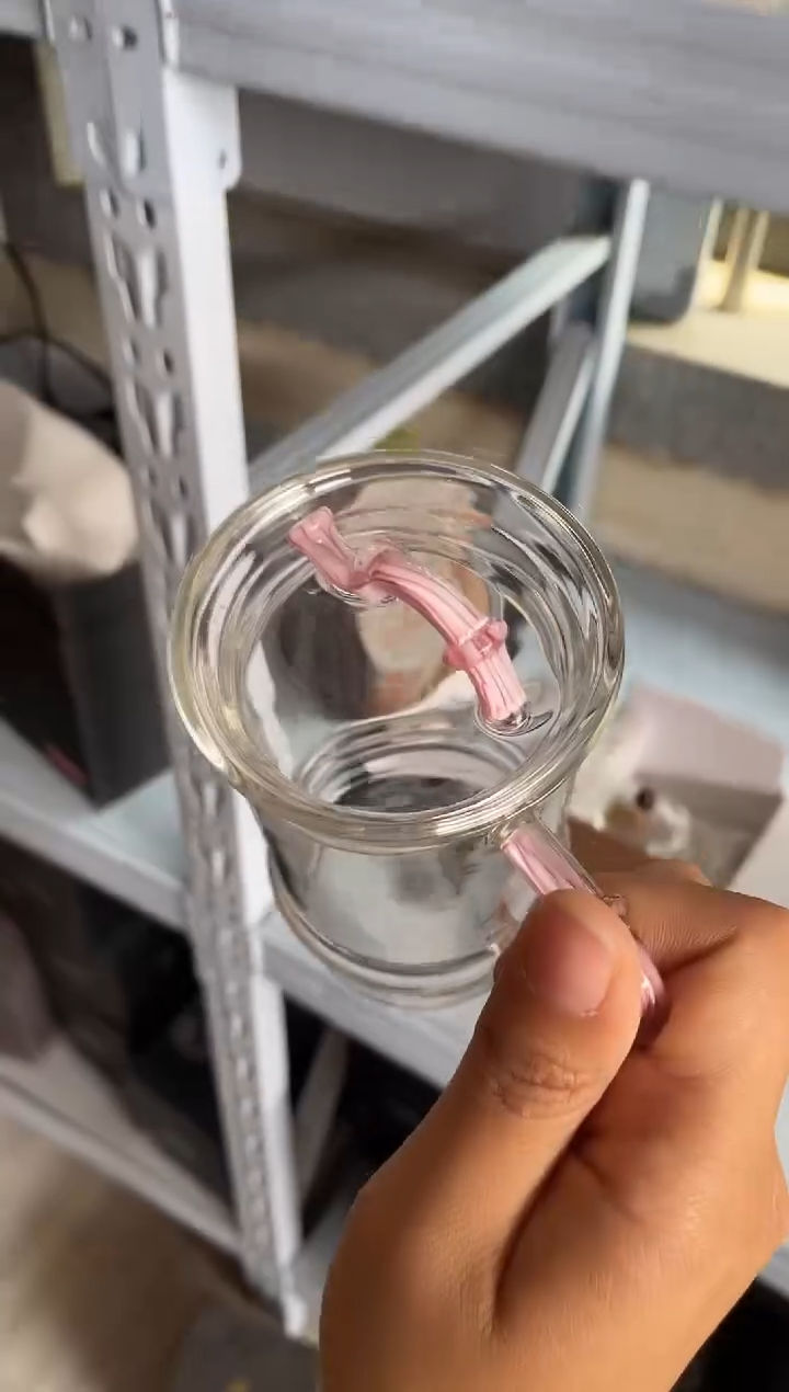 【闪购商品】凤尾/君逸杯/粉玉，，