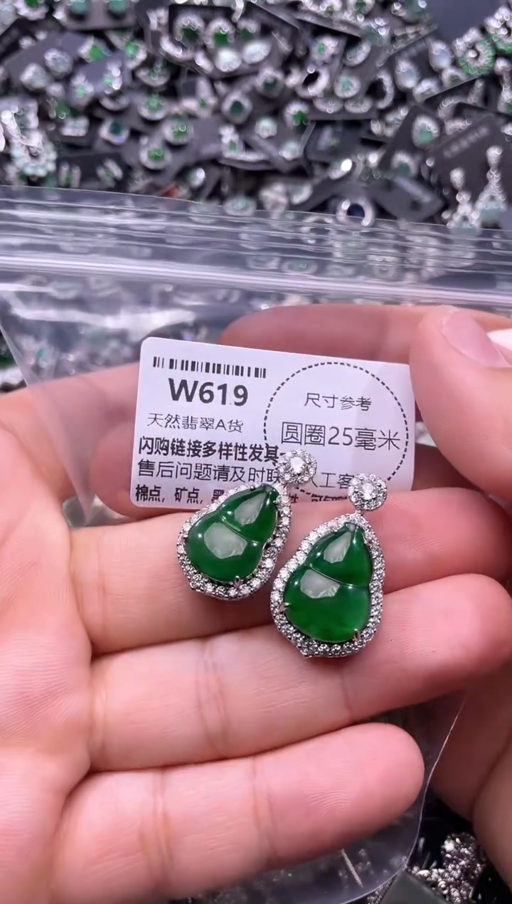 翡翠未镶嵌颈饰W619多样性发其一