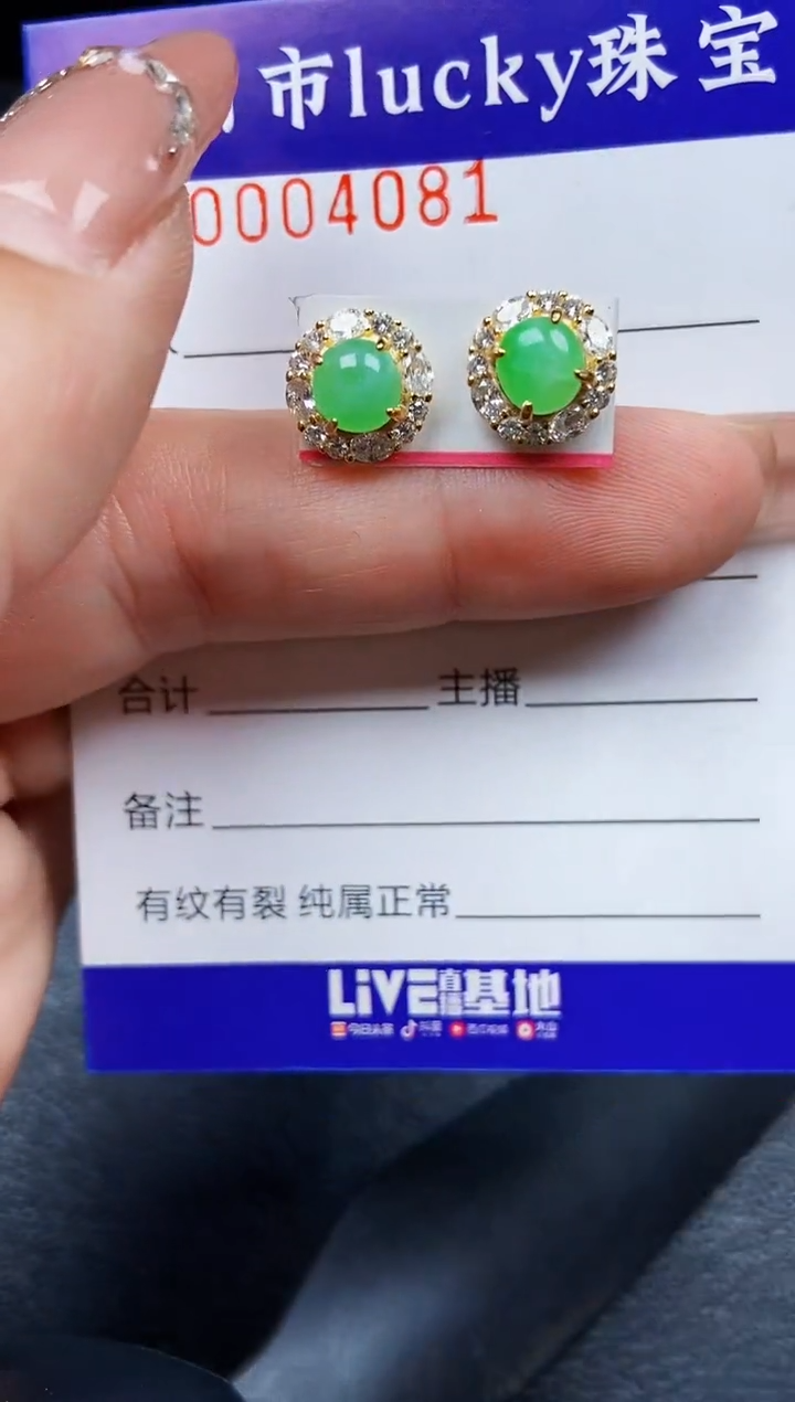 翡翠银S925镶嵌颈饰4081