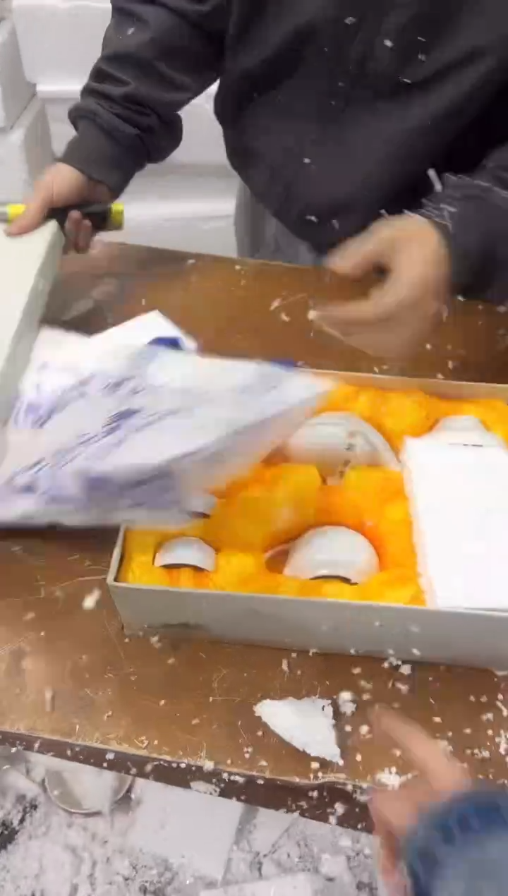【闪购商品】其他其他其他其他其他
