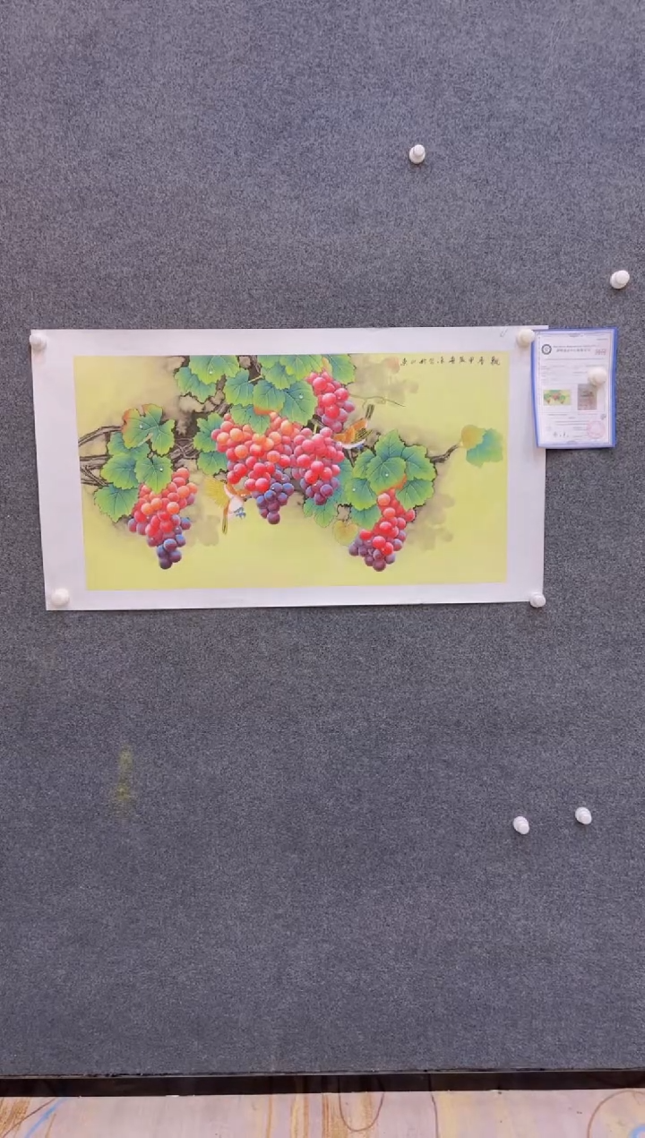 【闪购商品】国画1.22展馆-黄春香三尺-葡萄08