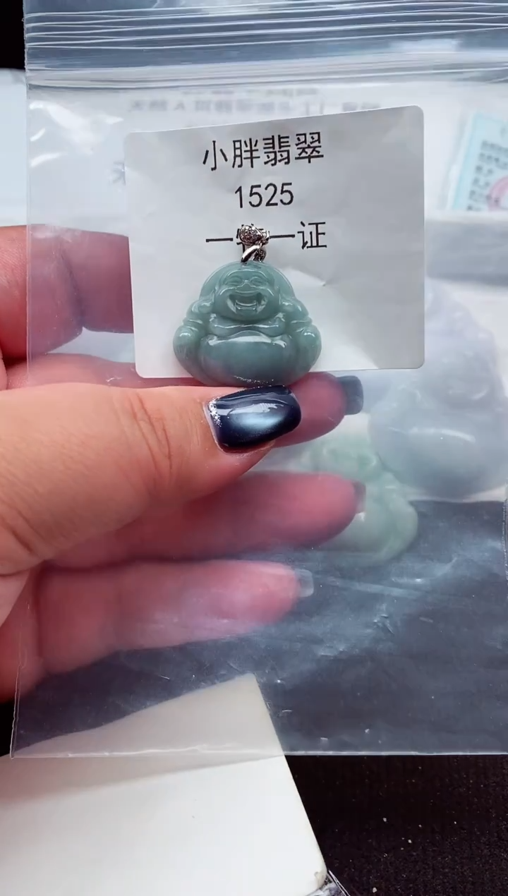 颈饰未镶嵌翡翠缅甸天然A货翡翠1525