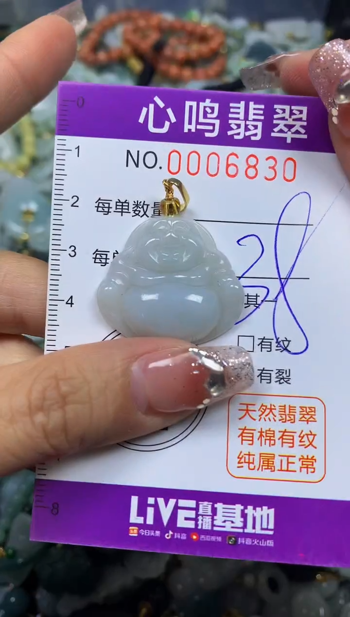 【闪购商品】翡翠颈饰未镶嵌闪购006830