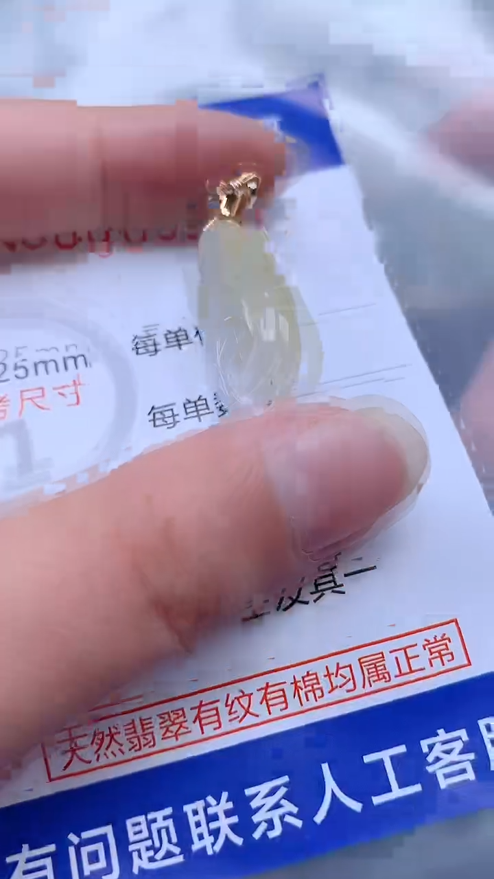 翡翠未镶嵌吊坠(不含链)1
