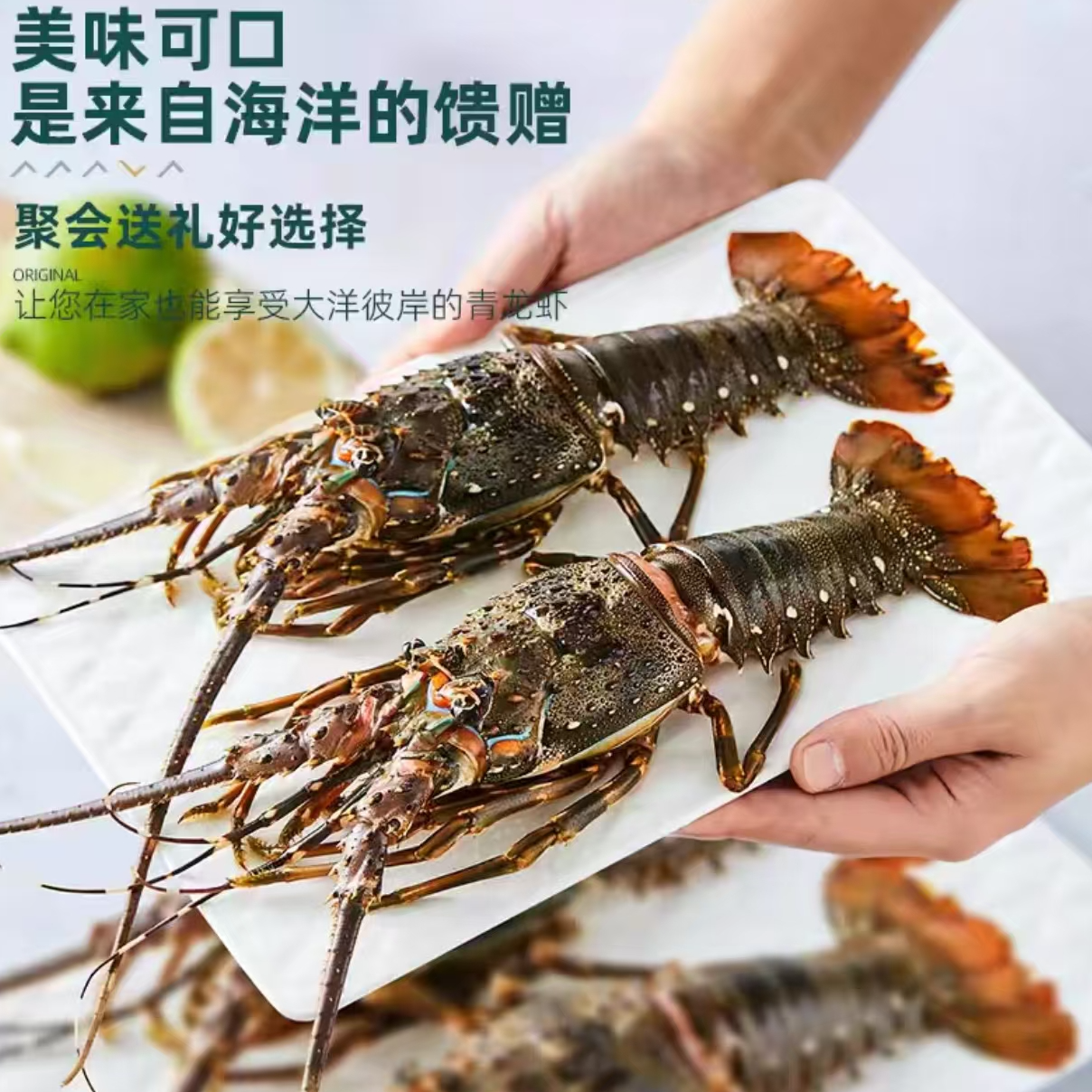 1小青龙龙虾鲜活速冻花龙虾200-300g 