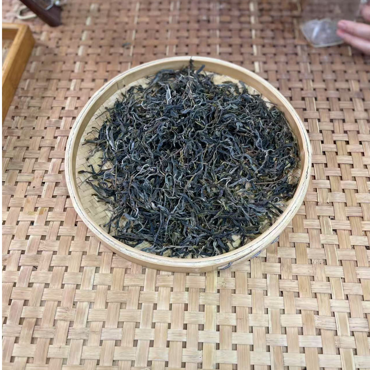 【32号】2025年 正气塘古树·春 生茶 250克/袋 7月4日