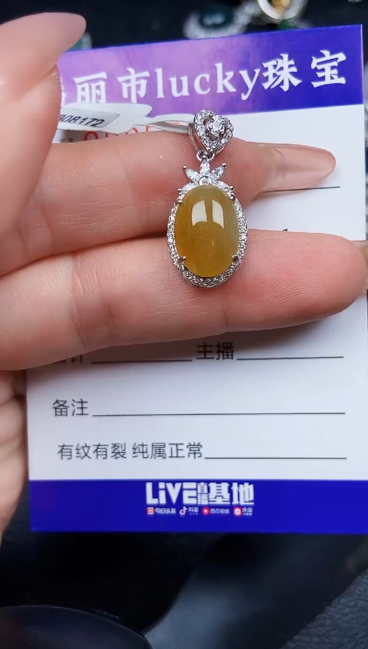 翡翠银S925镶嵌颈饰5735