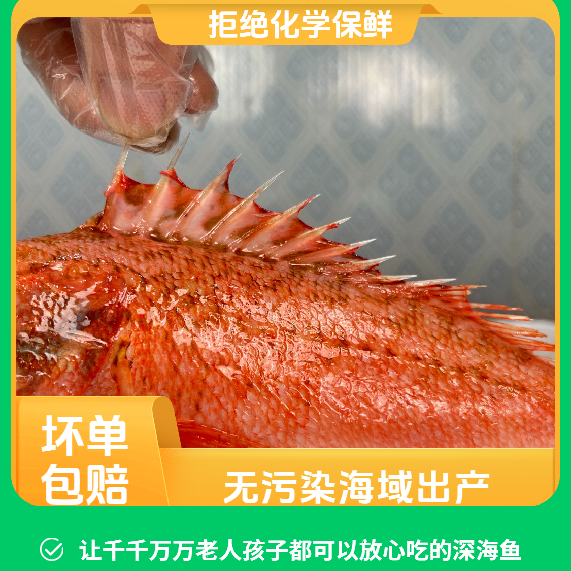 天然石斑鱼味道鲜美营养丰富虎头斑黑腹鲉鱼新鲜海鲜速冻顺丰发货