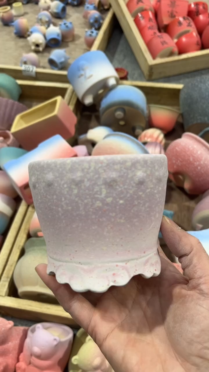 【闪购商品】红陶8*7