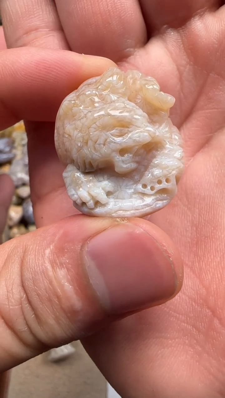 【闪购商品】硅化珊瑚（珊瑚玉）颈饰未镶嵌723