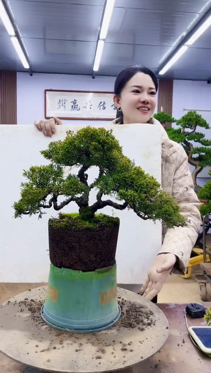 无花朵踏**河00000000000000000000000000000