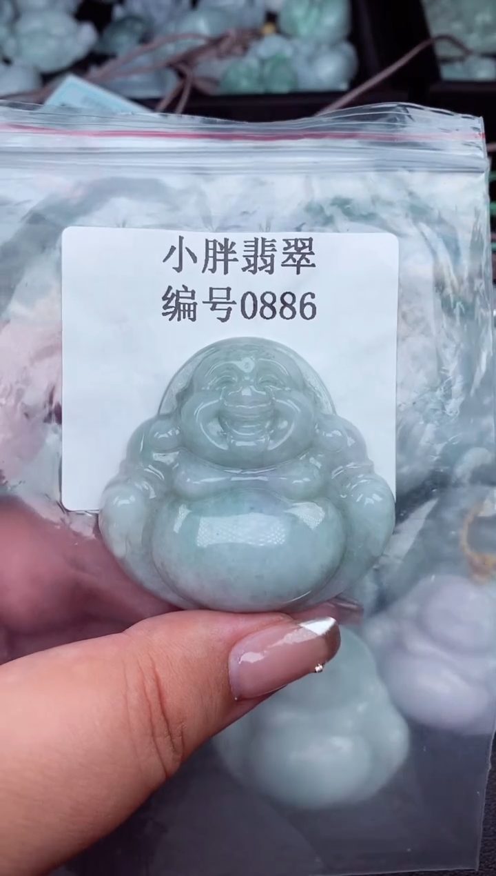 翡翠未镶嵌颈饰缅甸天然A货翡翠0886