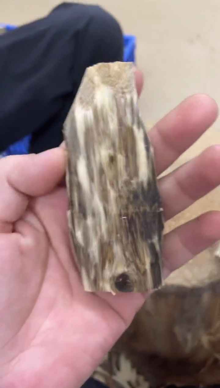 沉香沉香碎屑棋楠沉香 原料文创1