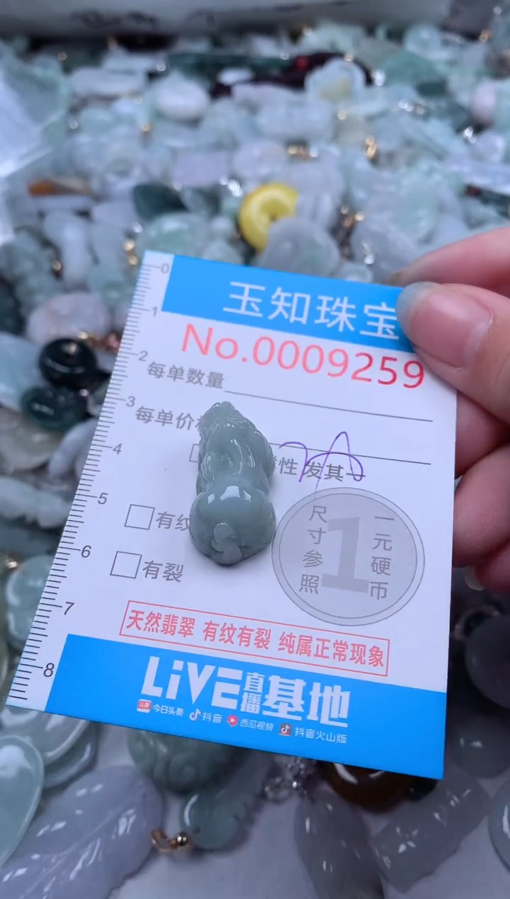 翡翠未镶嵌吊坠(不含链)9259