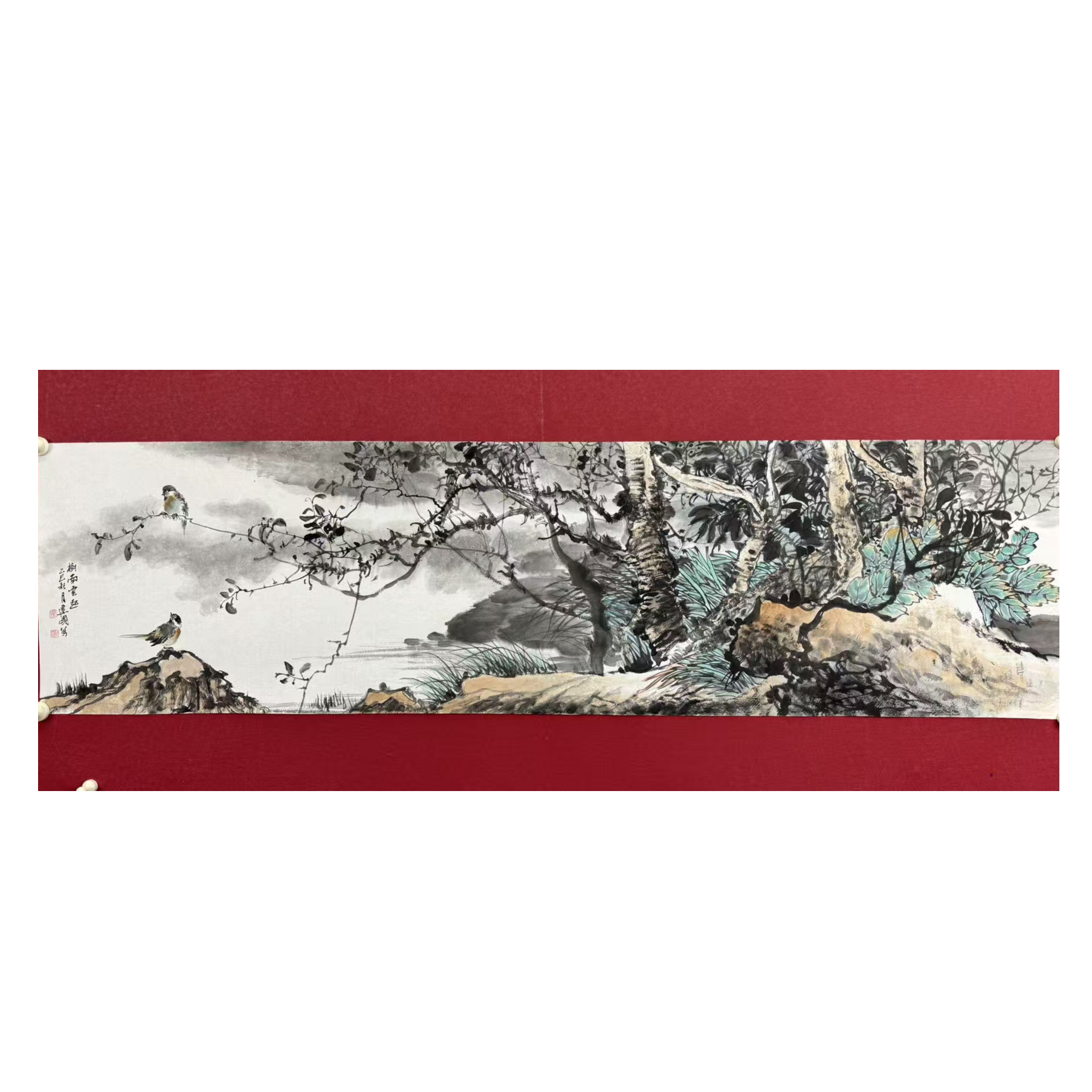 施老师写意花鸟国画作品