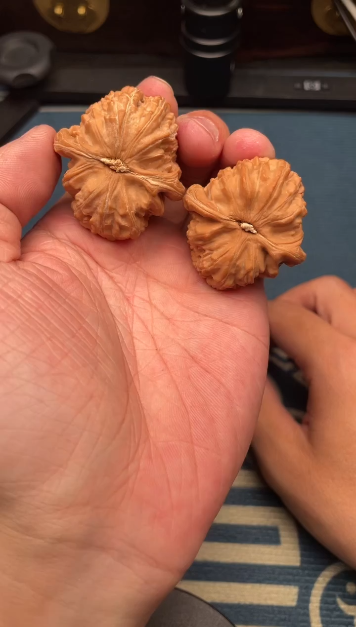文玩核桃吊坠三角白38
