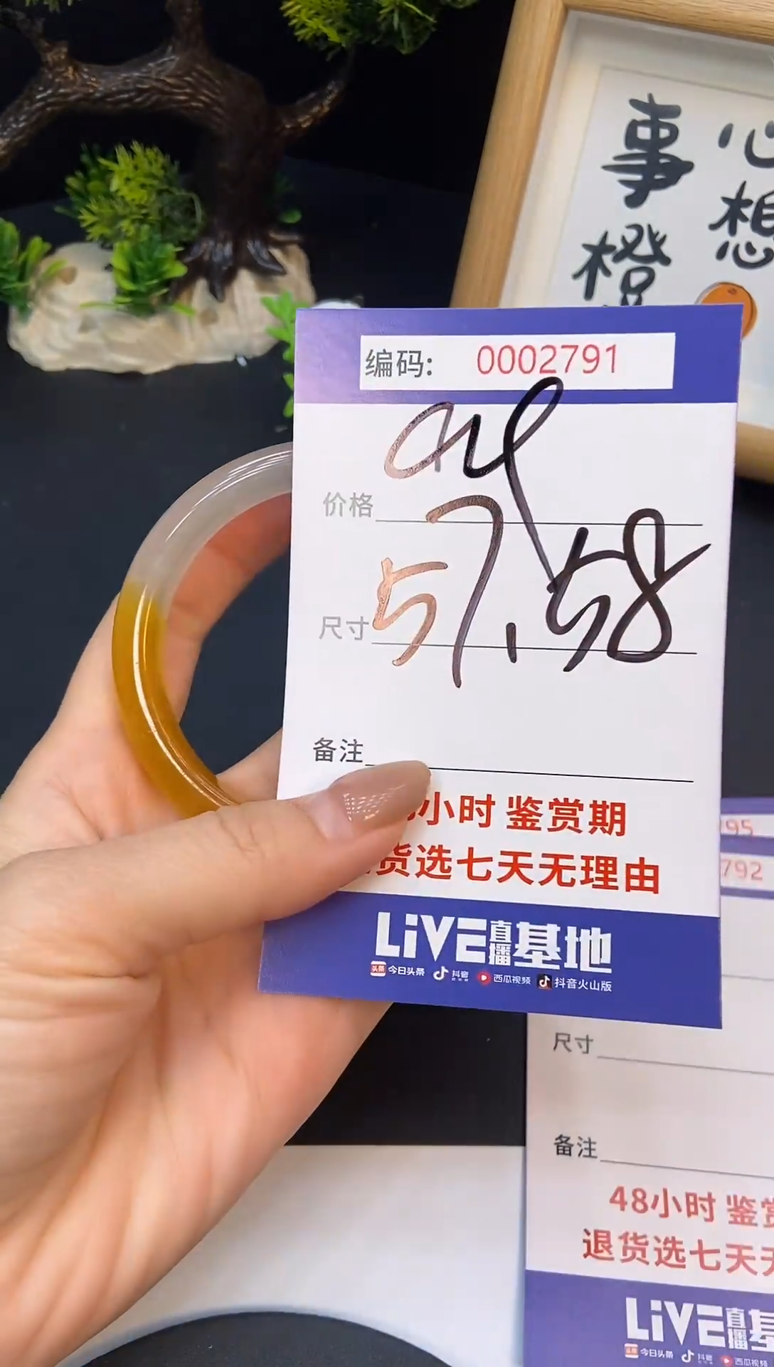 未镶嵌手镯翡翠0002791