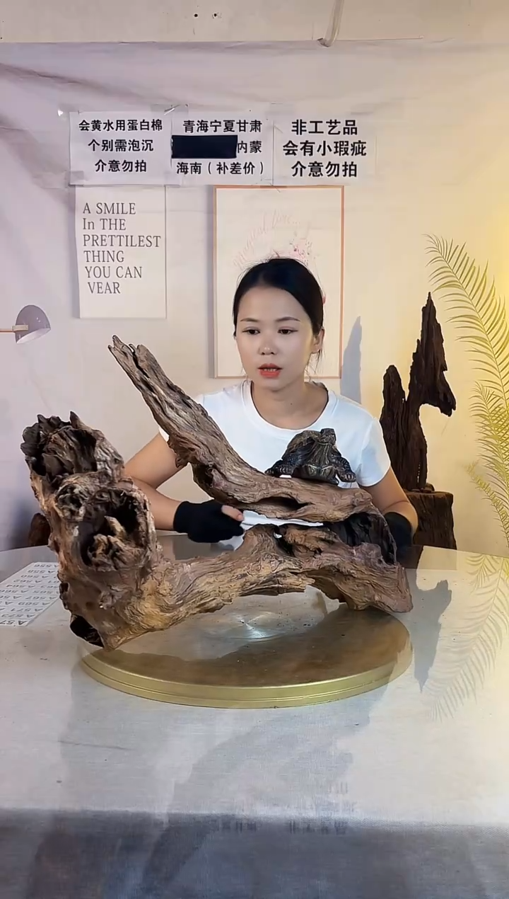 无****0紫柚沉木 一物一拍A549