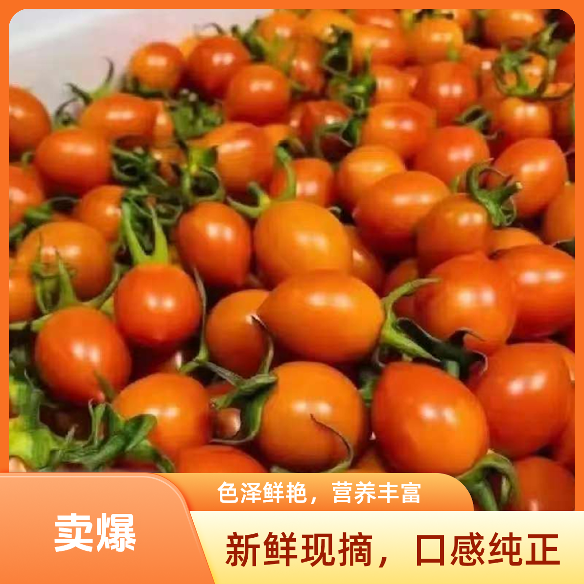 【宇哥果仓】新鲜海南黄珍珠小柿子3斤　产地直销　现摘现发　嘎嘎新鲜　