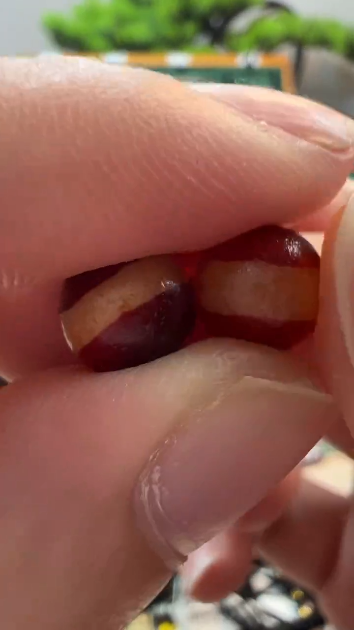 玛瑙/玉髓（覆膜）颈饰未镶嵌145（微瑕随机发货）