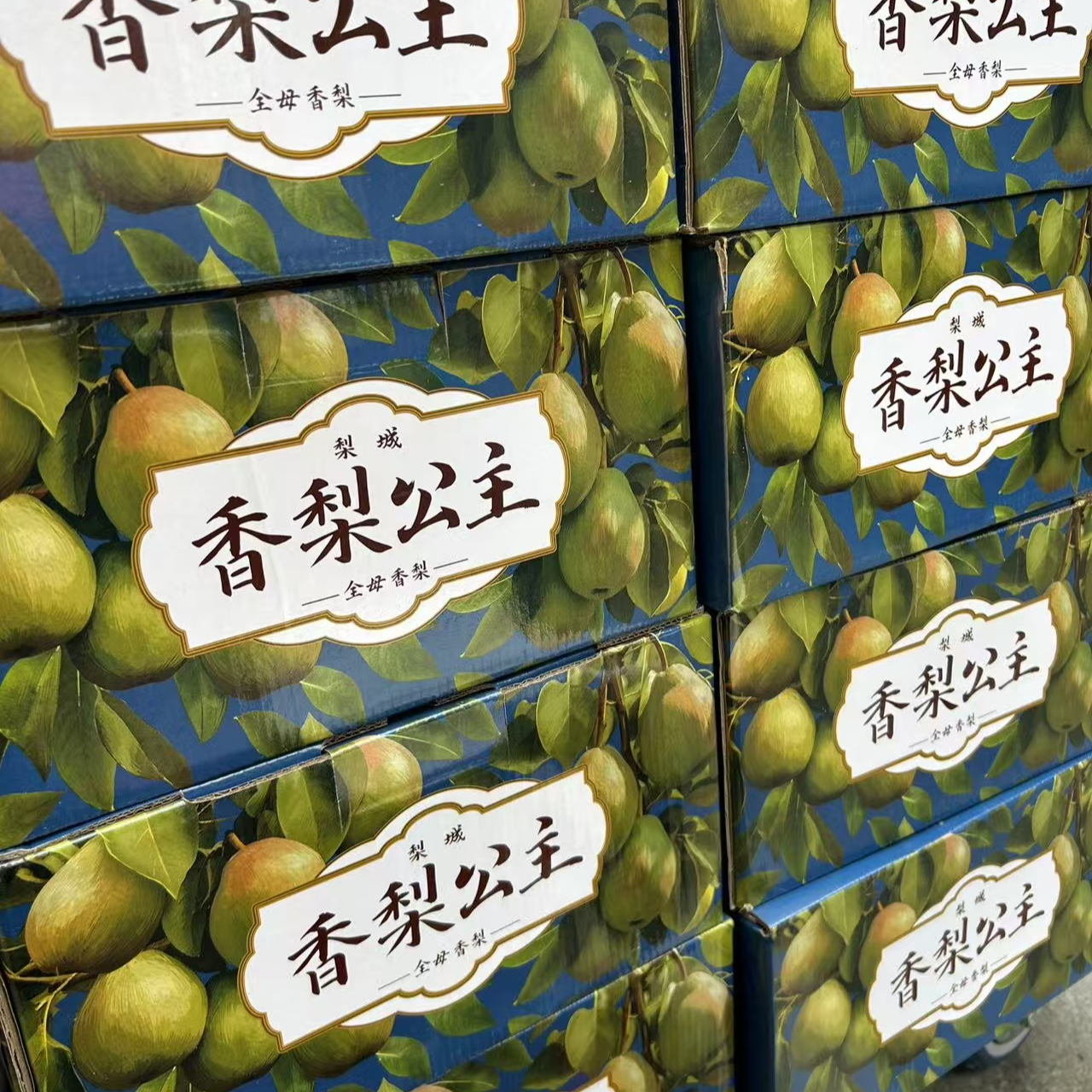 新疆香梨5斤礼盒/件