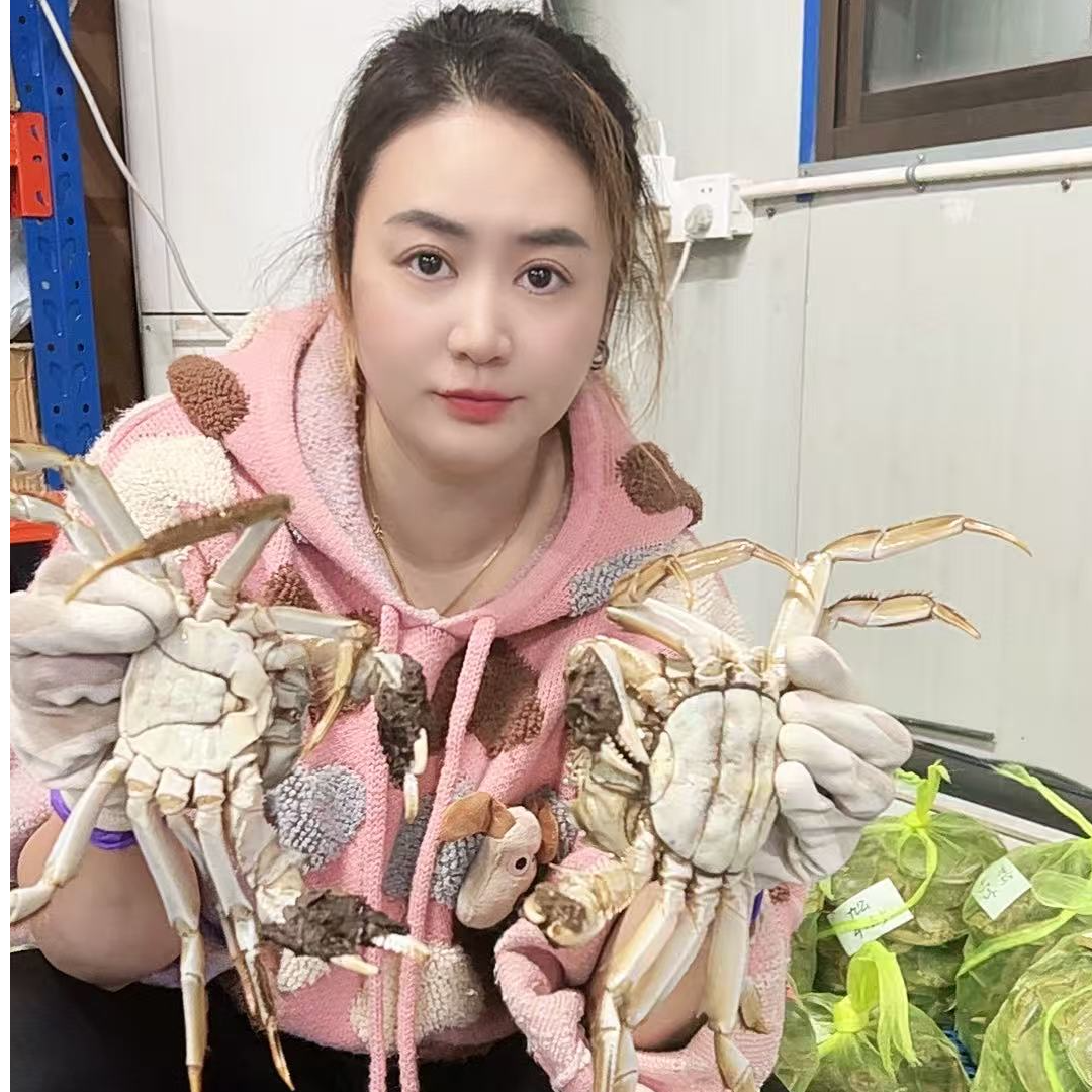 活蟹兴化大闸蟹母蟹4两公蟹5两8-10只