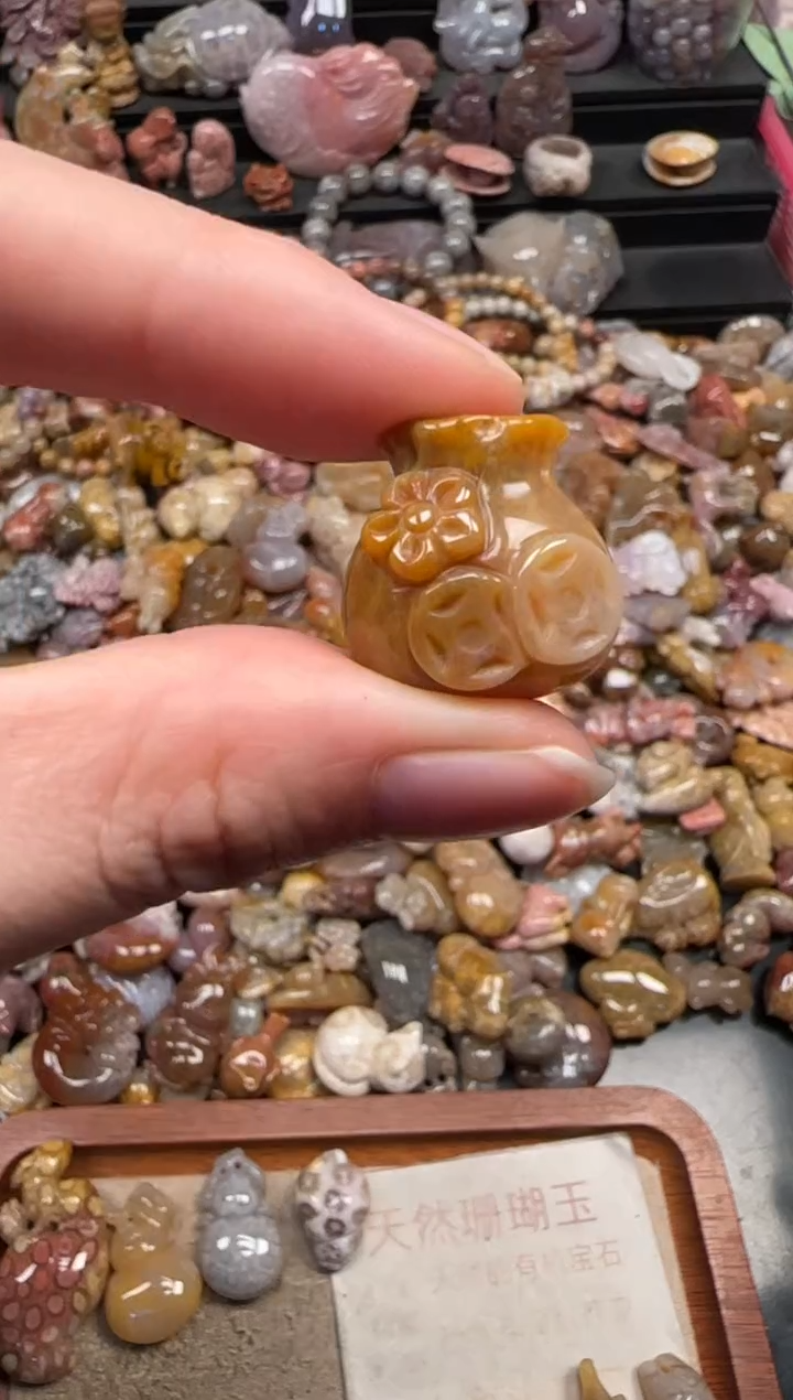 颈饰未镶嵌硅化珊瑚（珊瑚玉）667