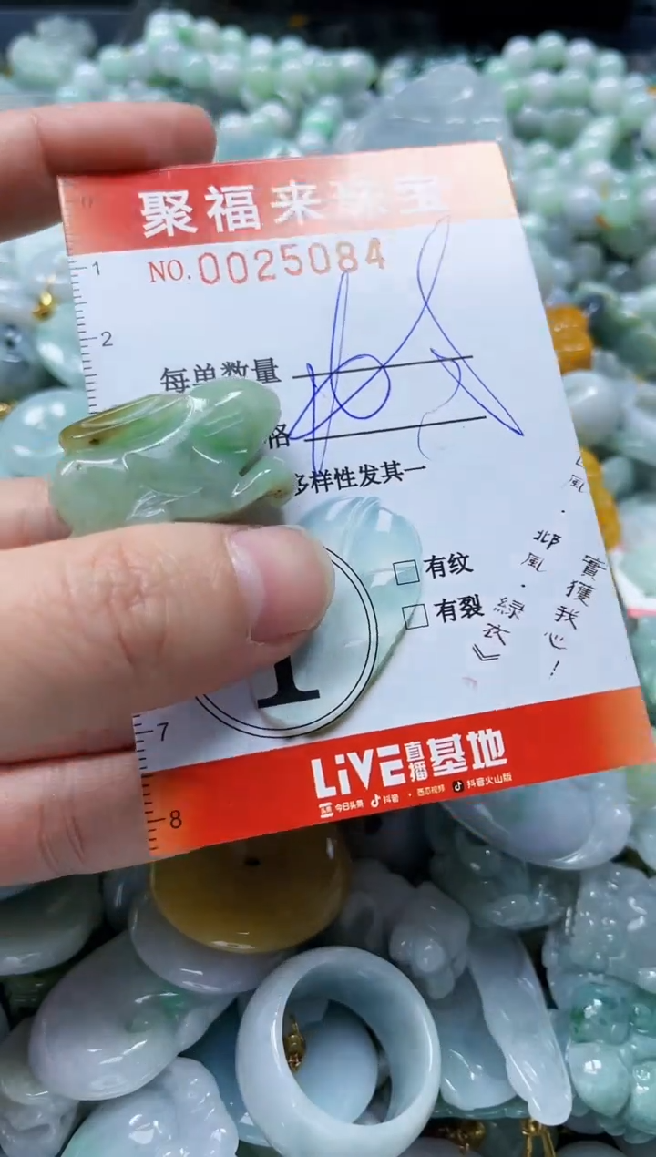 【闪购商品】翡翠颈饰未镶嵌闪购0025084
