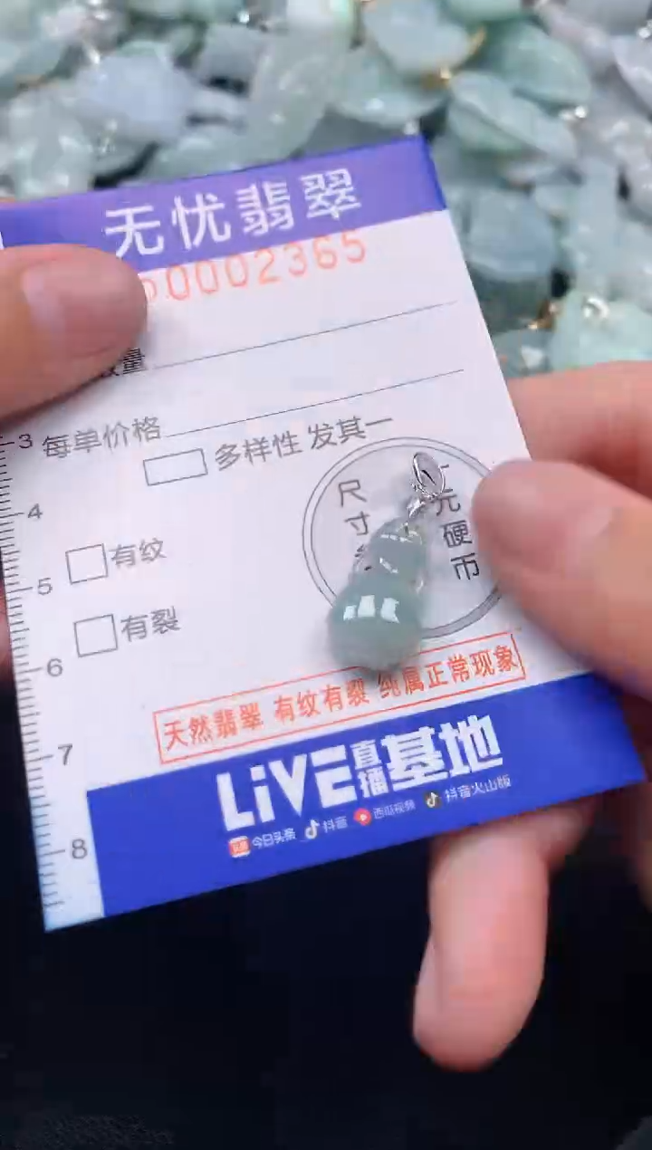 颈饰未镶嵌翡翠2365