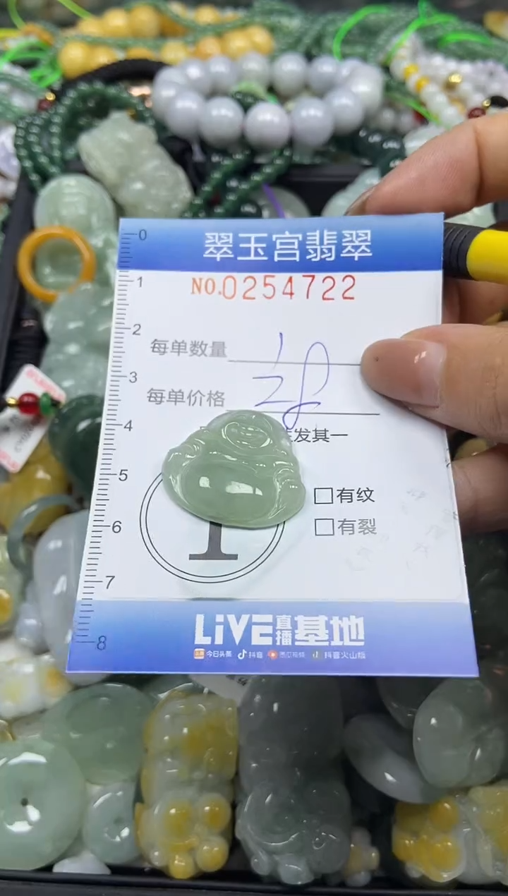 颈饰未镶嵌翡翠闪购C0254722