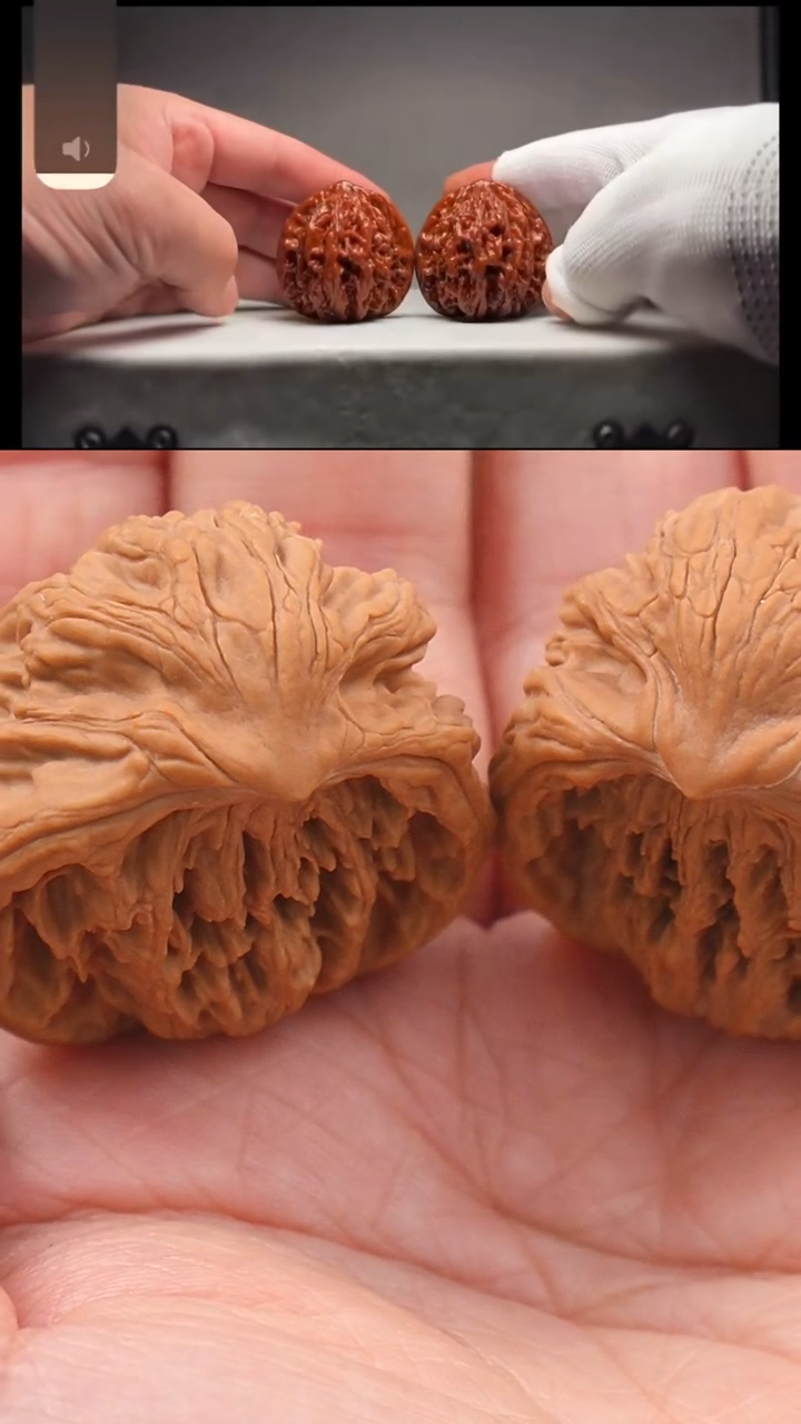 【闪购商品】文玩核桃把件36蛇王聚宝盆